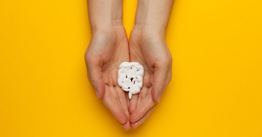 Modello anatomico dettagliato del colon che illustra le aree infiammate dalla colite, utilizzato per spiegare la relazione tra colite e cibi da evitare nella dieta