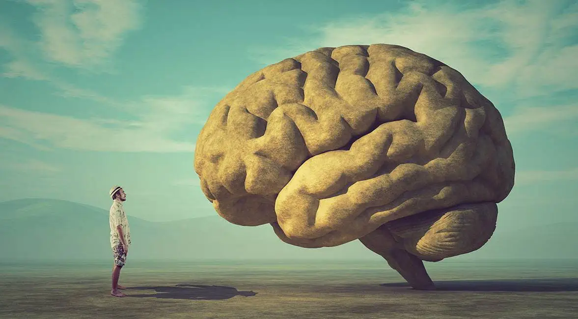 Rettocolite ulcerosa significato psicosomatico